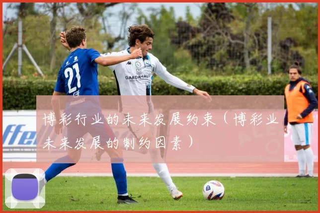 博彩行业的未来发展约束（博彩业未来发展的制约因素）
