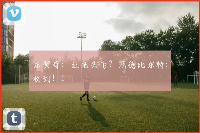 东契奇：让老头飞？范德比尔特：收到！！