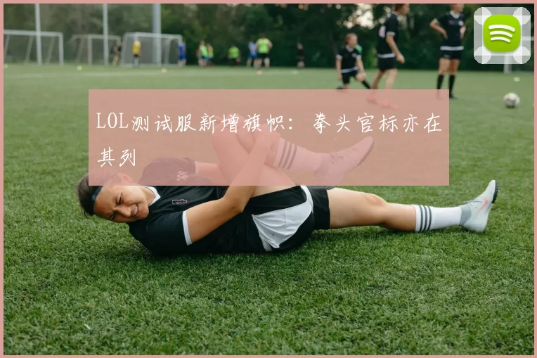LOL测试服新增旗帜：拳头官标亦在其列
