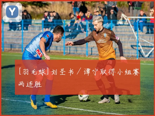 [羽毛球]刘圣书／谭宁取得小组赛两连胜