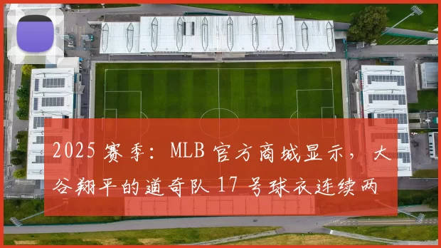 2025 赛季：MLB 官方商城显示，大谷翔平的道奇队 17 号球衣连续两年销量第一