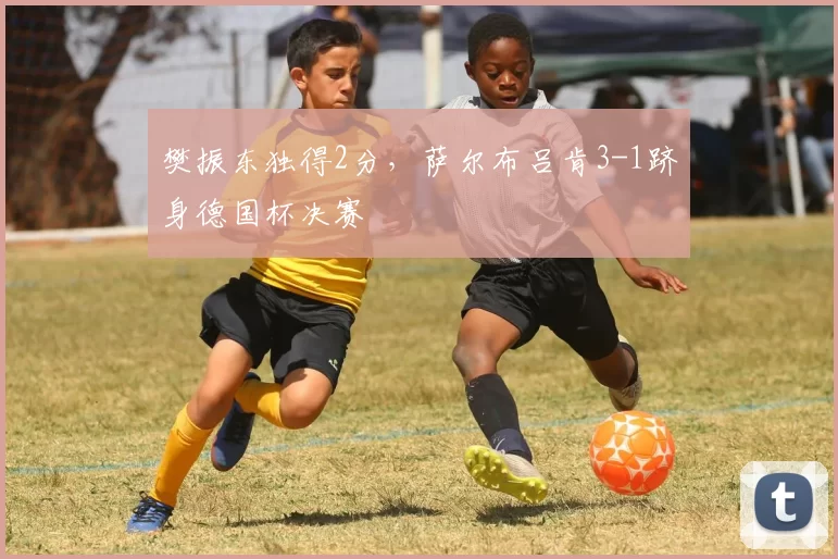 樊振东独得2分，萨尔布吕肯3-1跻身德国杯决赛